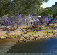 Shoalhaven River Festival - Surfers Paradise Gold Coast