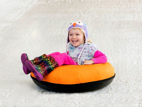 Snow Time In The Garden - Hunter Valley Gardens - Cancelled - Surfers Paradise Gold Coast 1