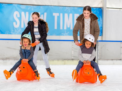 Snow Time In The Garden - Hunter Valley Gardens - Cancelled - Surfers Paradise Gold Coast 2