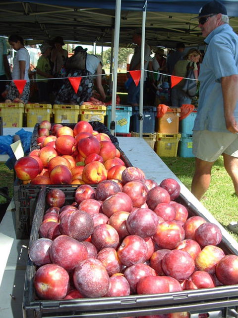 The Farmers Market On Manning - Surfers Paradise Gold Coast 0