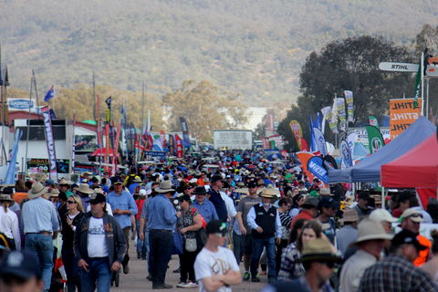 AgQuip - Surfers Paradise Gold Coast 1
