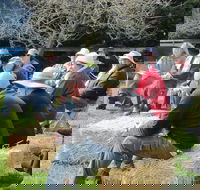 All Season Cold Climate Organic Vegetable Growing - Surfers Paradise Gold Coast