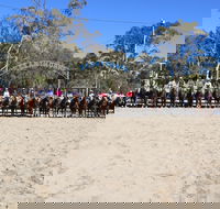 Australian Campdraft Association National Finals Campdraft 2021 - Surfers Paradise Gold Coast