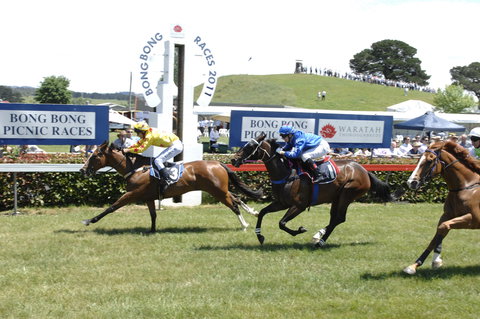 Bong Bong Picnic Races - Surfers Paradise Gold Coast 0