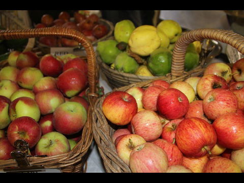 Braidwood Farmers Markets - Surfers Paradise Gold Coast 0