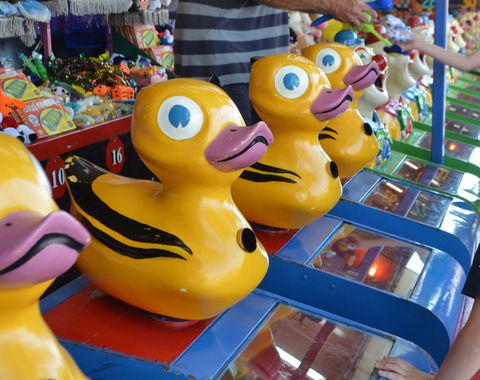 Casino Agricultural Show - Surfers Paradise Gold Coast 0