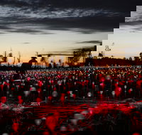 Field of Light Uluru - Surfers Paradise Gold Coast