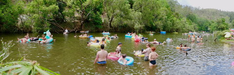 Jungle Love Festival - Surfers Paradise Gold Coast 1