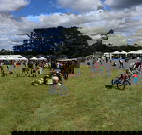 Majors Creek Festival - Surfers Paradise Gold Coast