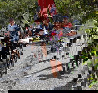 Paluma Push 2020 - Surfers Paradise Gold Coast