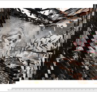 Rone in Geelong - Surfers Paradise Gold Coast