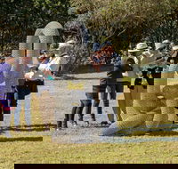 Sculpture for Clyde - Outdoor Exhibition - Surfers Paradise Gold Coast