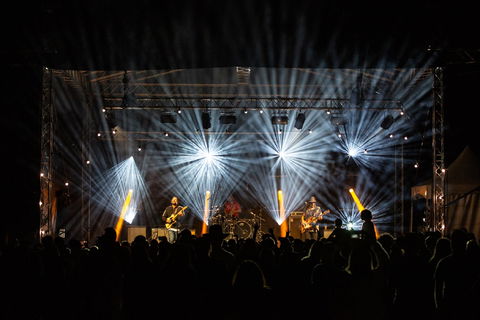 The Hidden Forest - Surfers Paradise Gold Coast 1