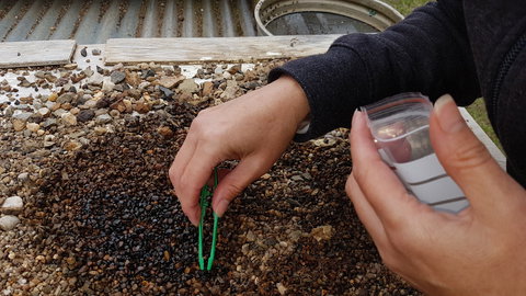 The Minerama Fossicking, Gem And Jewellery Show - Surfers Paradise Gold Coast 1