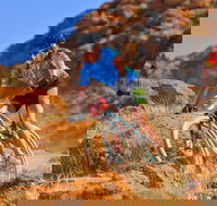 The Redback - Surfers Paradise Gold Coast