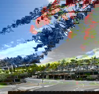 Coconut Grove - Surfers Paradise Gold Coast