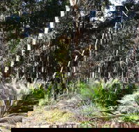 The Bower at Broulee - Surfers Paradise Gold Coast