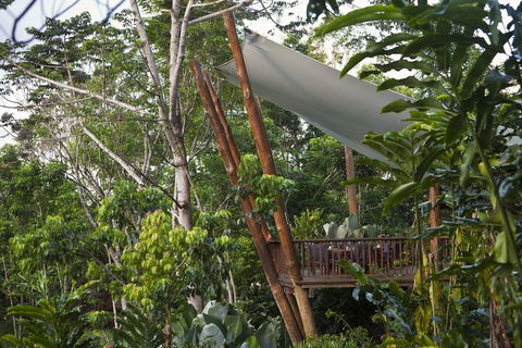 Rose Gums Wilderness Retreat - Surfers Paradise Gold Coast 2