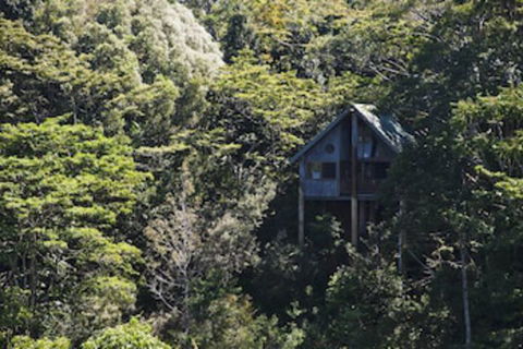 Rose Gums Wilderness Retreat - Surfers Paradise Gold Coast 0