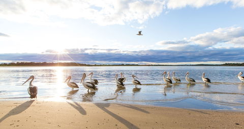 El Paso Motor Inn - Surfers Paradise Gold Coast 0