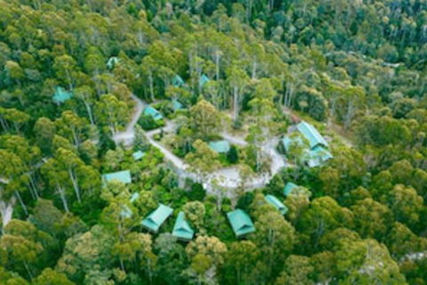 Lemonthyme Wilderness Retreat - Surfers Paradise Gold Coast 0