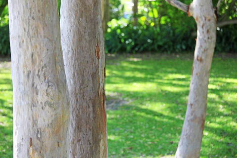 The Retreat Port Stephens - Surfers Paradise Gold Coast 2