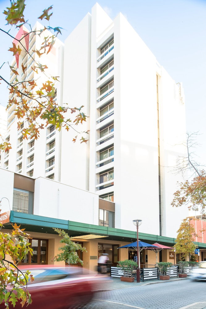 Hovea WA Surfers Paradise Gold Coast