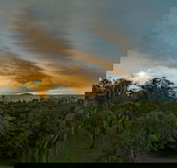 Ocean International - Surfers Paradise Gold Coast