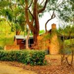 Cedarwood Cottage - Surfers Paradise Gold Coast 0