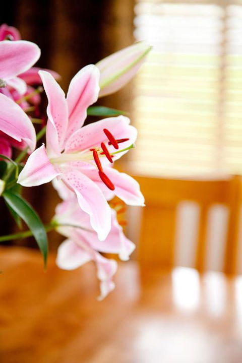 Ocean Mist Villa - Surfers Paradise Gold Coast 6