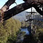 Tahune Air Walk Lodge - Surfers Paradise Gold Coast 0