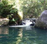 Daintree Secrets Rainforest Sanctuary