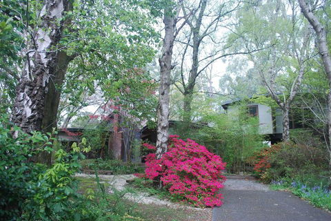 Rocky Creek Art Garden B&B - Surfers Paradise Gold Coast 5