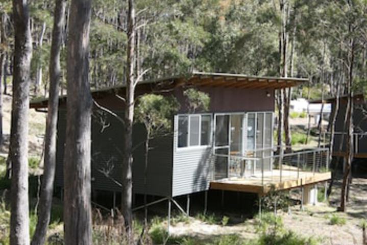 Avoca TAS Surfers Paradise Gold Coast