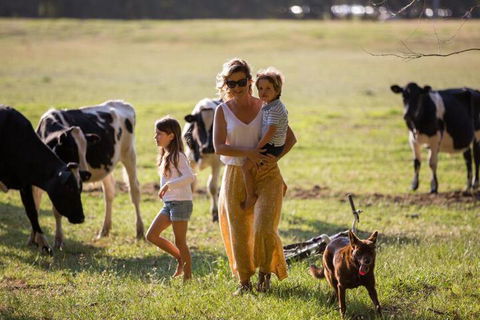 Redgate Forest Retreat - Surfers Paradise Gold Coast 4