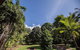 Cape Tribulation Holiday House - thumb 2