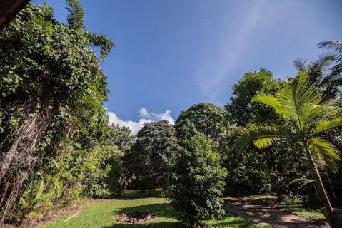 Cape Tribulation Holiday House - Surfers Paradise Gold Coast 2