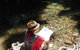 Cape Tribulation Holiday House - thumb 5