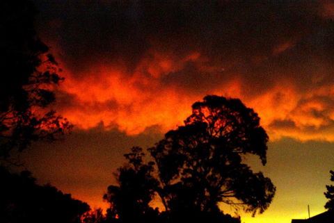Taits Place Vineyard B & B - Surfers Paradise Gold Coast 2