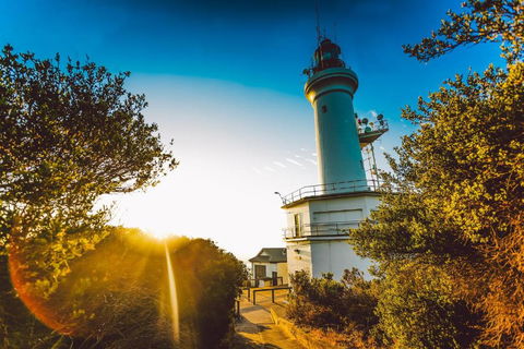 Abaleen House - Surfers Paradise Gold Coast 5