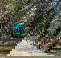 Blueberry Hills On Comleroy - Surfers Paradise Gold Coast