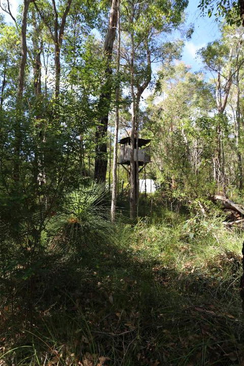 Nannup Bush Retreat - Surfers Paradise Gold Coast 2