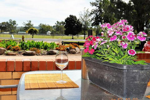 Sunflower Motel - Surfers Paradise Gold Coast 0