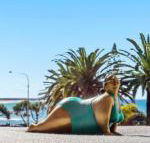 Alex Headland Beachfront