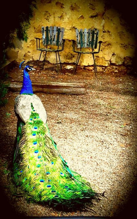 A La Folly - Surfers Paradise Gold Coast 4