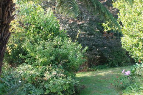 Strathmore Farm B & B - Surfers Paradise Gold Coast 5