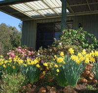 Nannup Riverview Cottage - Surfers Paradise Gold Coast