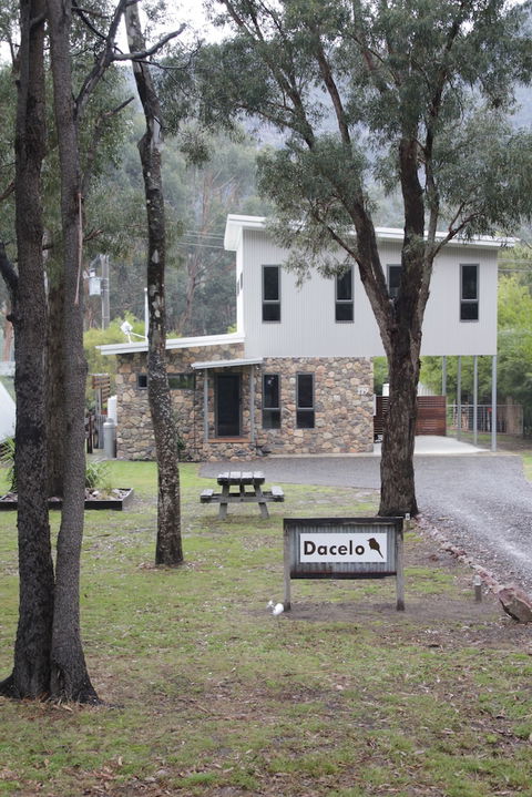 Dacelo - Surfers Paradise Gold Coast 4