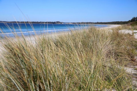 Sandy Toes Beach House Jervis Bay 2min To Beach - Surfers Paradise Gold Coast 2