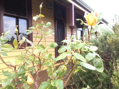 Albion Cottage - Surfers Paradise Gold Coast 4
